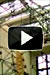Sierpinski's Growth 2010 - Video
