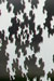 Growth by James Hayes - Stradbally Arthouse Studios & Library
