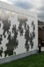 Growth - Stradbally Arthouse Studios
