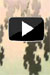 Growth - Stradbally Arthouse Studios - Video