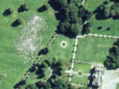 Arial View Proposal
