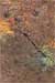 Kneeling glaze detail