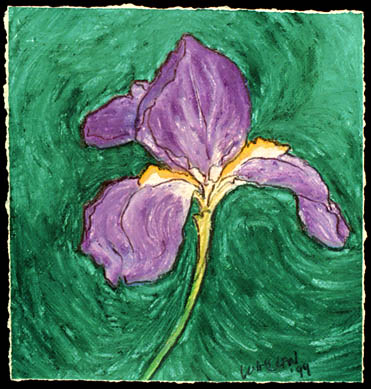 Iris