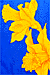 Daffodils