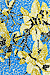 Gorse Mosaic